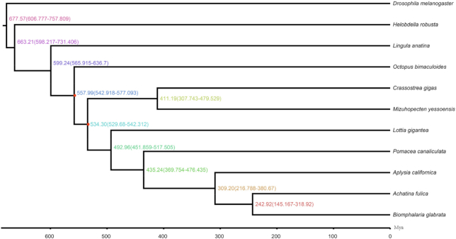 Figure 4: