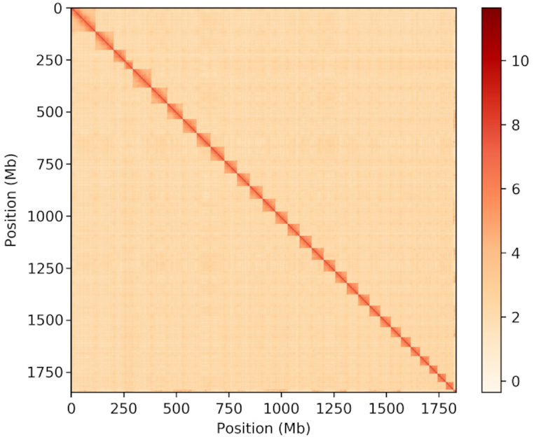 Figure 2: