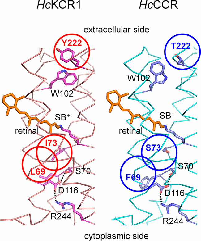 FIG 3