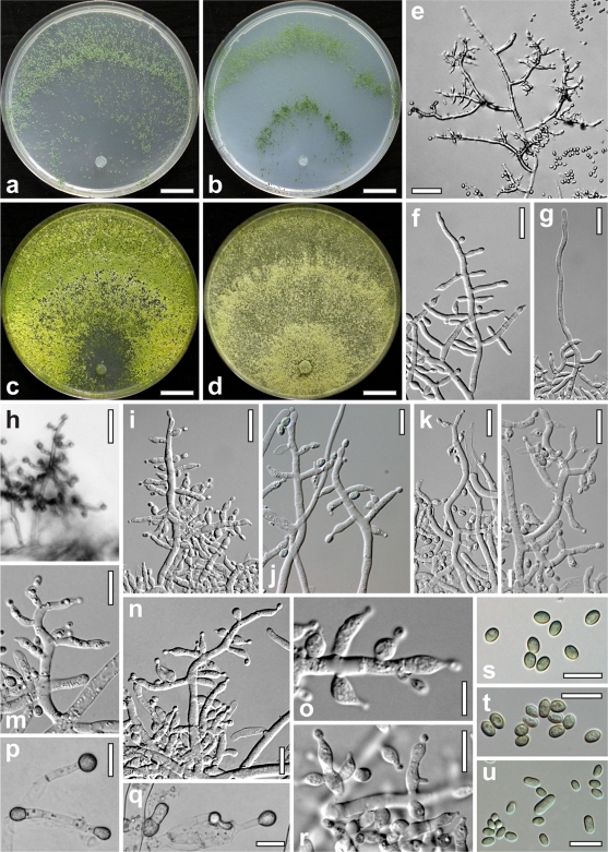 FIG. 1.