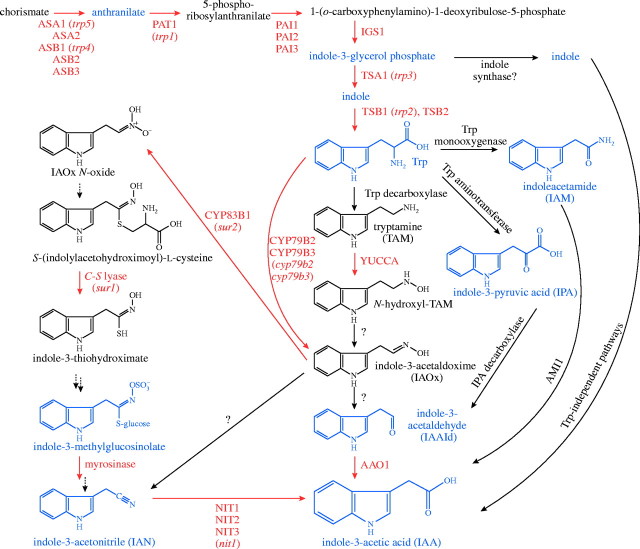 Fig. 2.