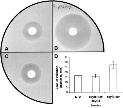 FIG. 6.