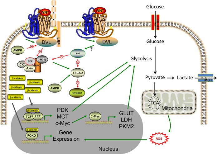 FIG 3