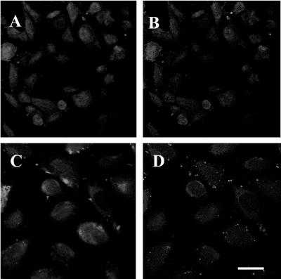 FIG. 8.