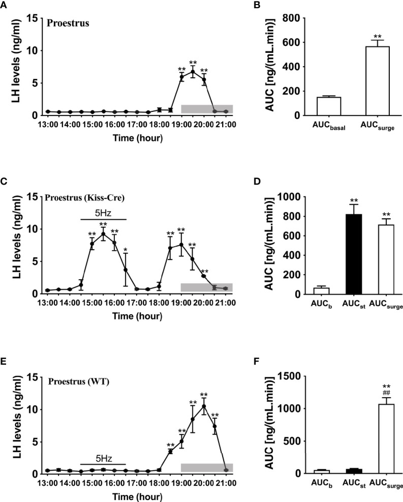 Figure 2