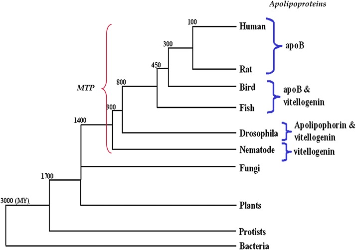 Fig.5.