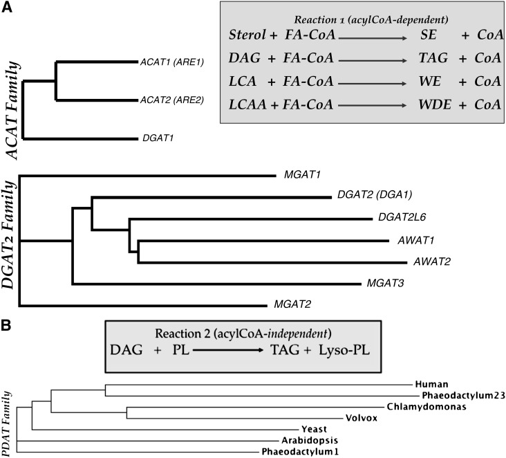 Fig.3.