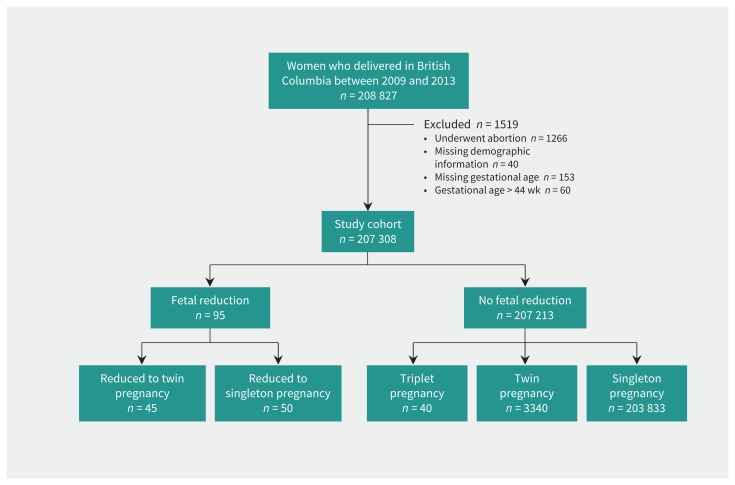 Figure 1: