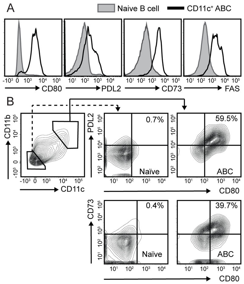 Figure 4: