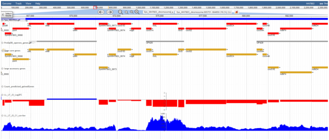 Figure 4.