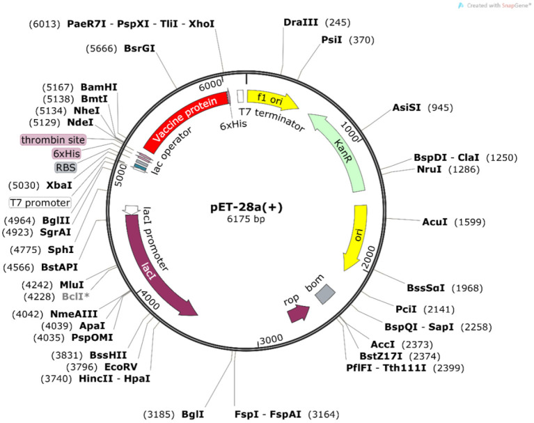 Figure 10