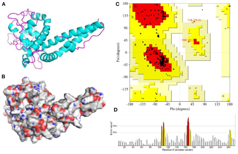 Figure 6