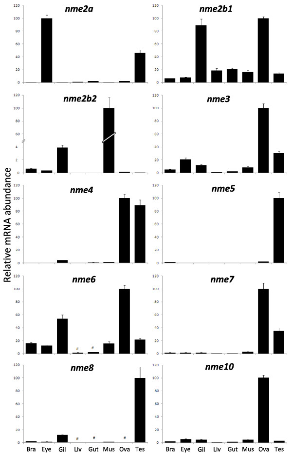 Figure 10