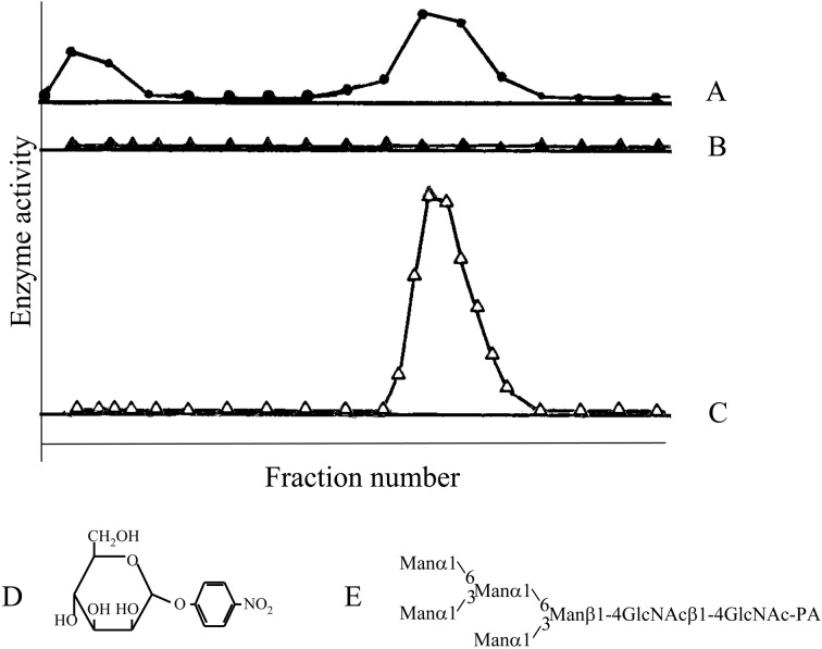 Fig. 10