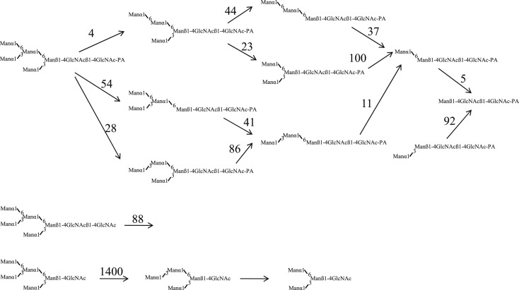 Fig. 11