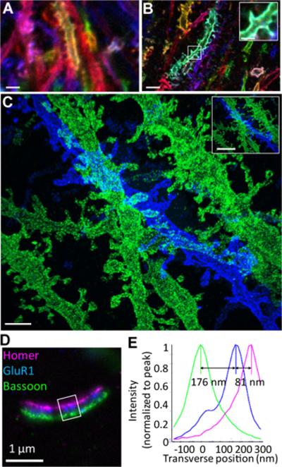 Figure 2.