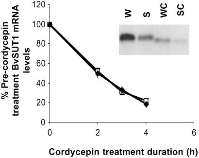 Fig 5.