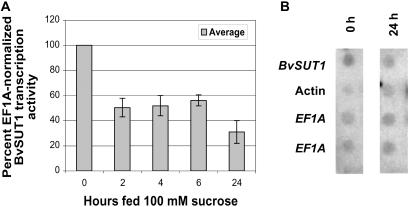 Fig 4.