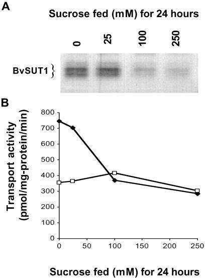 Fig 2.