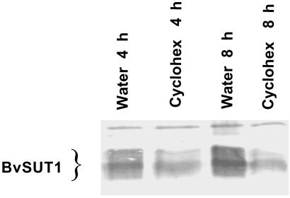 Fig 3.