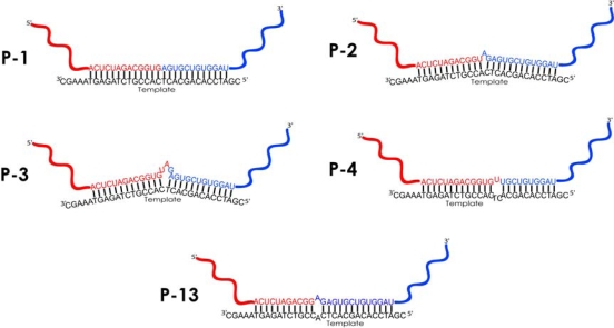 Figure 6.