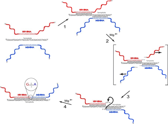 Figure 2.