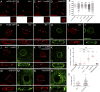 Figure 10.