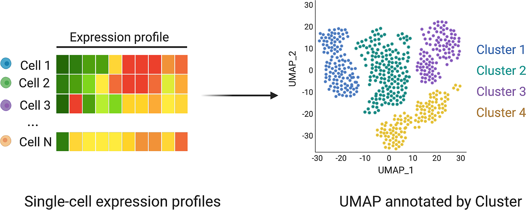 Figure 42
