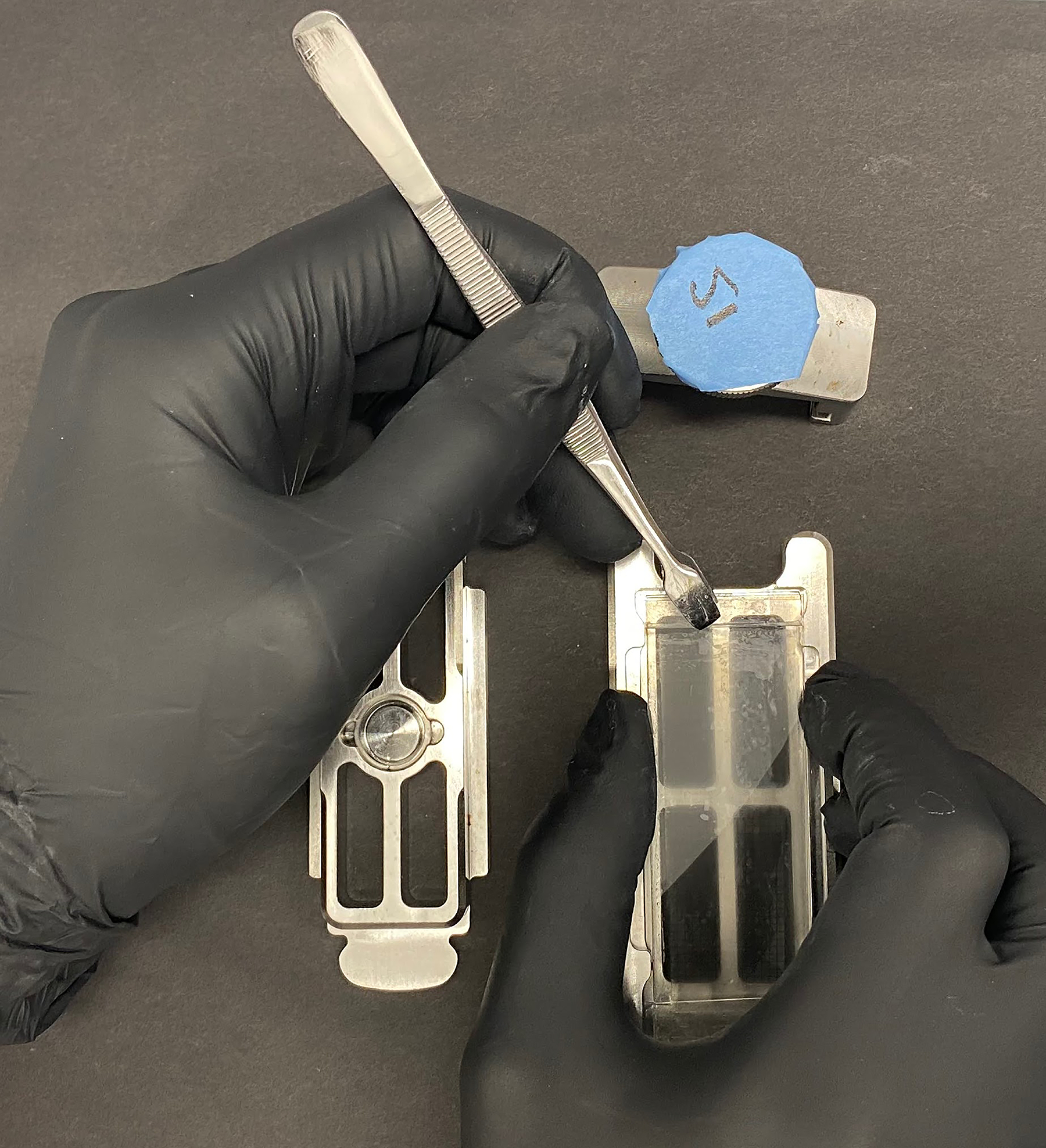 Figure 30