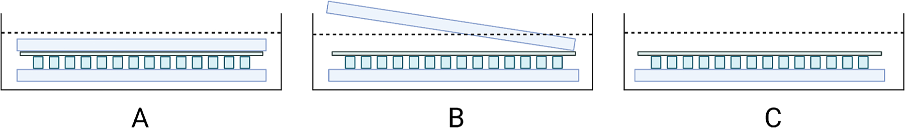 Figure 31