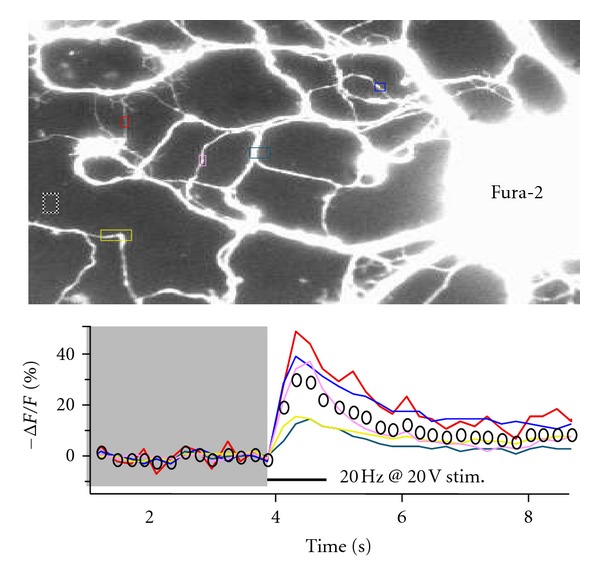 Figure 4