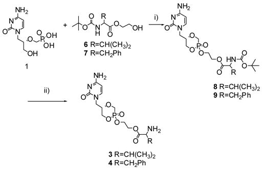 Scheme 2