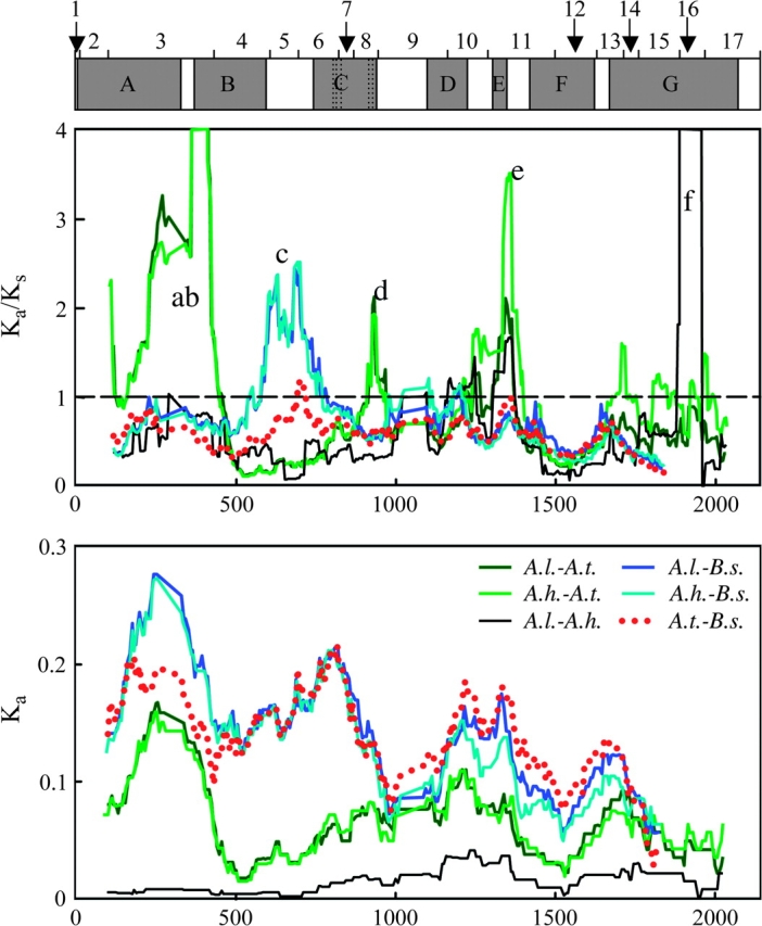 FIG. 2.—