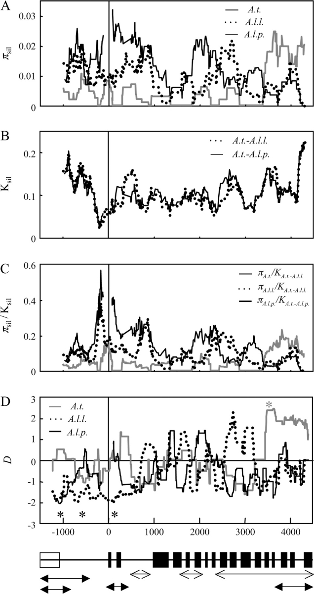 FIG. 1.—