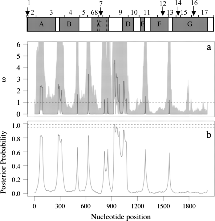 FIG. 4.—