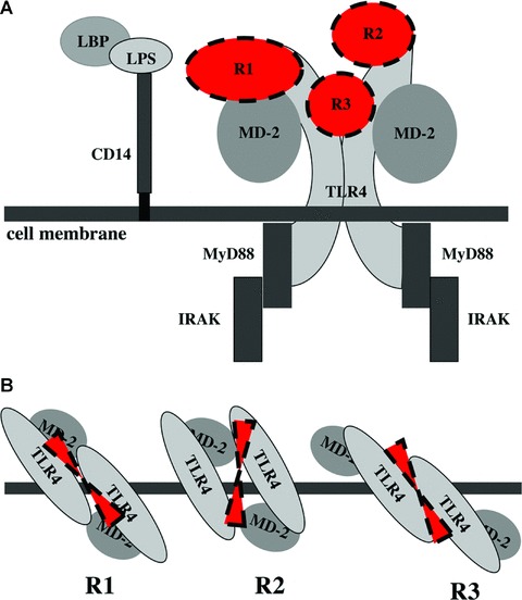 Fig 8