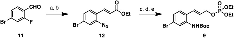 Scheme 2