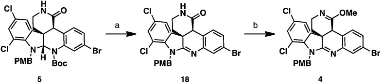 Scheme 5