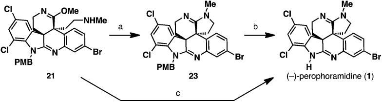 Scheme 7