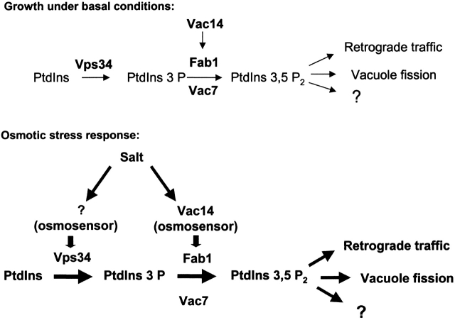 Figure 9.