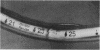 248