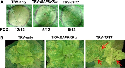 Figure 3.