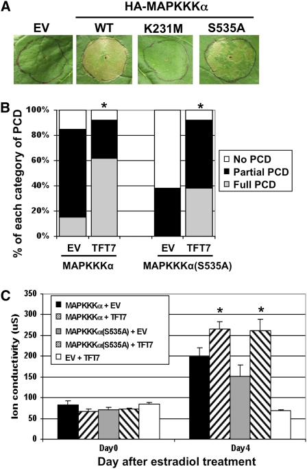 Figure 9.