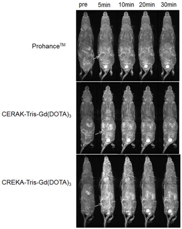 Fig. 11