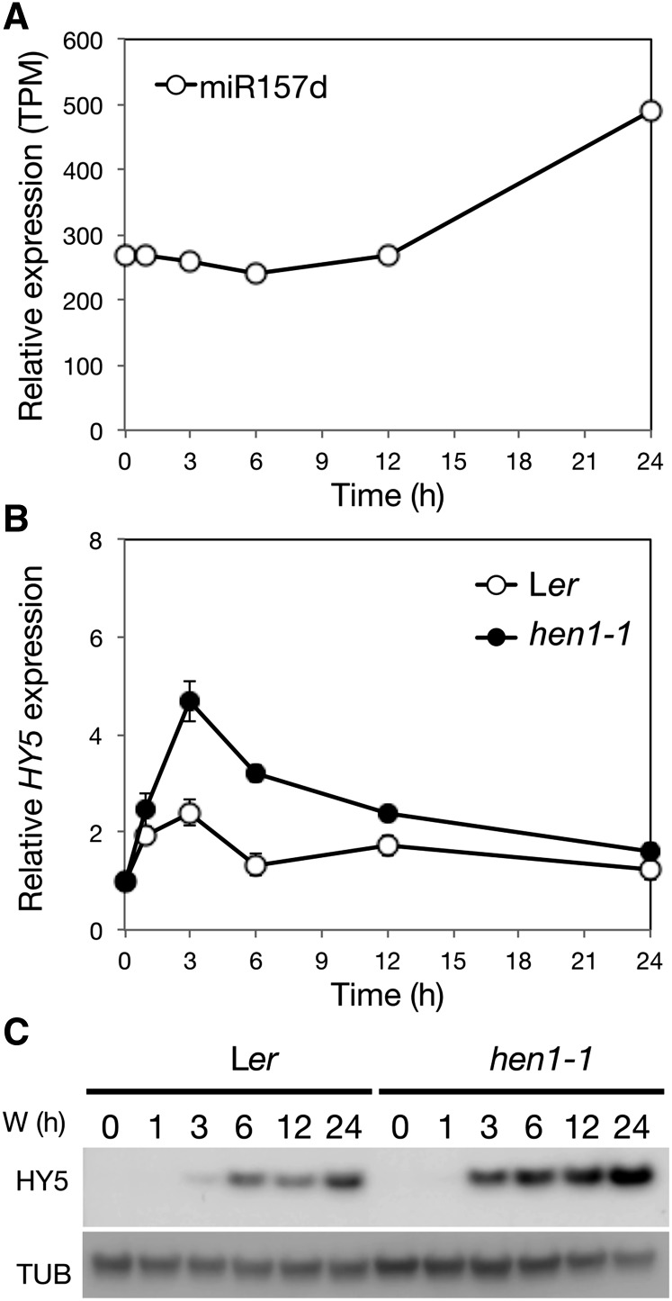 Figure 7.