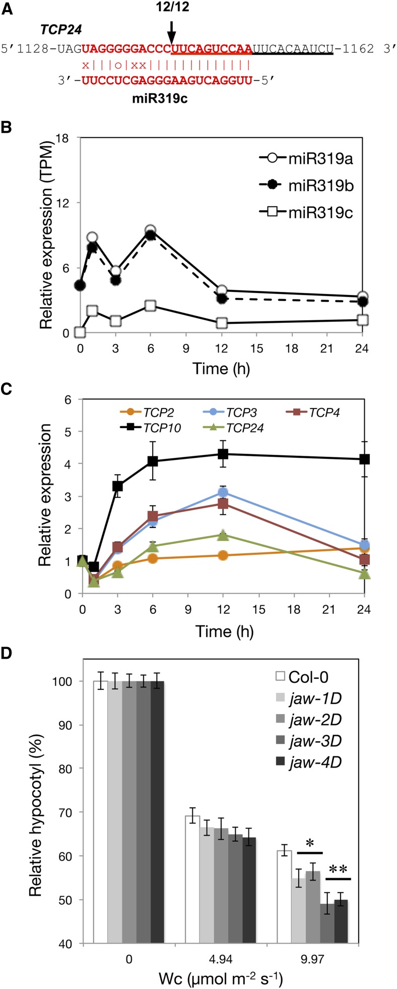 Figure 9.