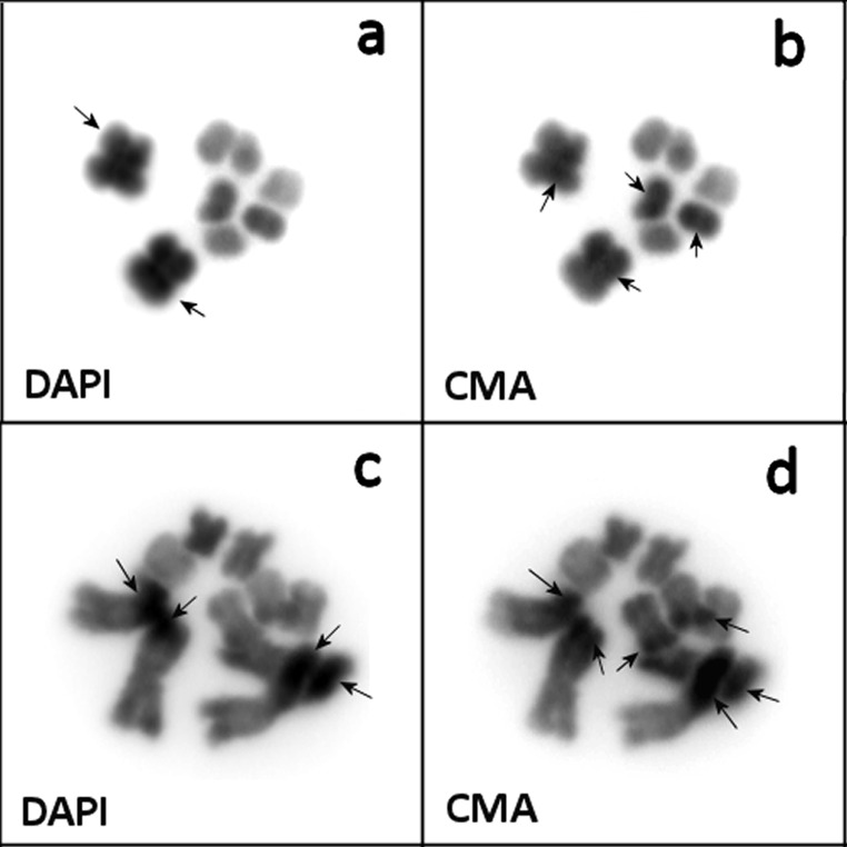 Fig 5