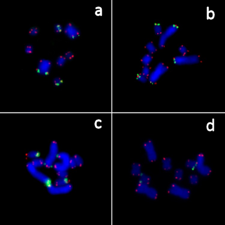 Fig 6