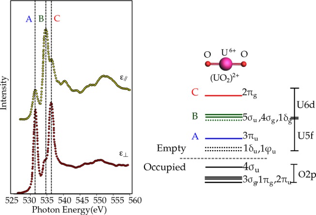 Figure 54