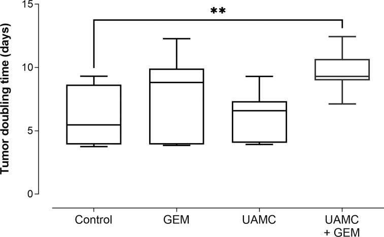 Figure 5